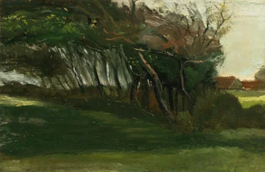 Landskap med vindpinade träd, ca 1883-84 (olja på duk)
