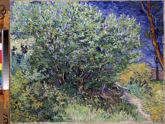 ""Syrenbusken"" (Lilac Bush) Målning av Vincent van Gogh (1853-1890) 1889 Mått 72x92 cm Eremitagemuseet, Sankt Petersburg (Saint-Petersburg)