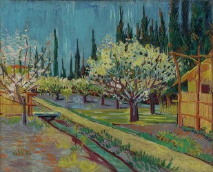 Fruktträdgård omgiven av cypresser. 1888