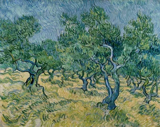 Olivlund