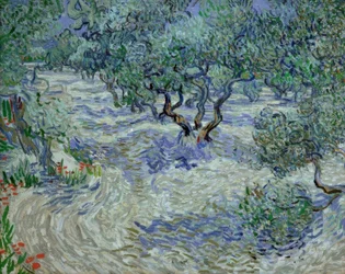 Olivlund