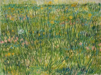 Bit gräsmatta. 1887