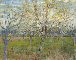 Rosa fruktträdgård. 1888