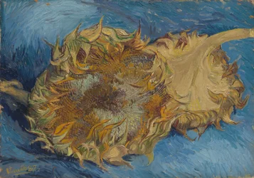 Solrosor, 1887.