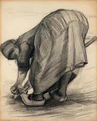 Morotsdragaren