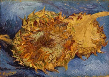Solrosorna, 1887