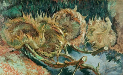 Fyra vissna solrosor