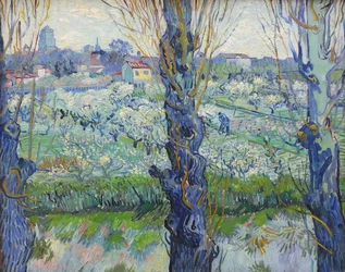 Utsikt över Arles, blommande fruktträdgårdar