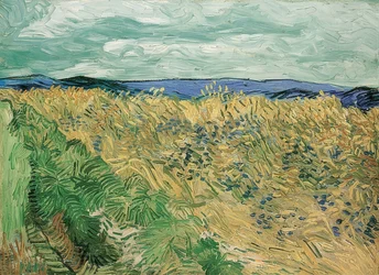 Vetefält med blåklint, Auvers-sur-Oise, 1890