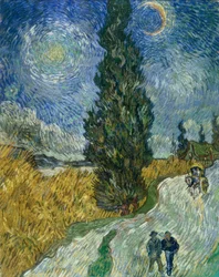 Cypress stig under stjärnhimlen