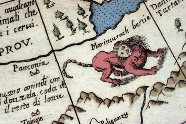 Framställning av en mantikora, en fantasivarelse med människohuvud (ofta med horn, blå ögon och tre rader tänder), skorpion- eller draksvans och lejonkropp. Detalj av en världskarta av Vincenzo Coronelli (1650-1718). 1600-talet