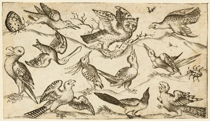 Elva fåglar och två insekter på minimal mark med uggla med utsträckta vingar..., 1572.