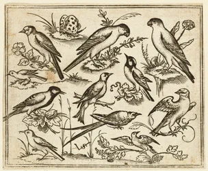 Elva fåglar som sitter på fläckar av blommande löv och små grenar..., 1557.