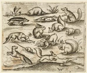 Grupp av små skogsvarelser som äter och springer runt en damm, inklusive en mus..., 1557.