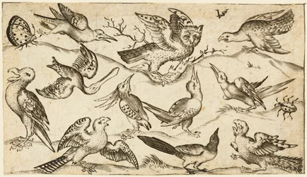 Elva fåglar och två insekter på minimal mark med uggla med utsträckta vingar sittande på en gren i mitten med andra fåglar som omger och retar uggla, från Douce Ornament Prints Album I, efter 1572 (gravyr på lagt papper)