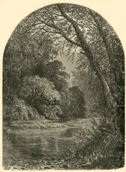 "Moss Islands, in the Juniata", 1874.