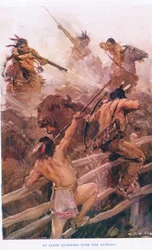At Close Quarters with the Buffalo, illustration från 