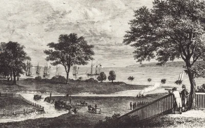 Buffalo (litho)