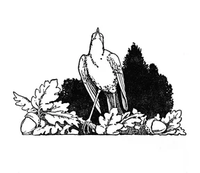 Among the Branches Dwelt a Nightingale, c1930