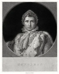 Napoleon Bonaparte, 1800-talet.