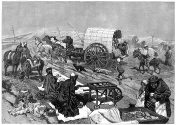 Damernas omnibus, Kashgar, Centralasien, 1875.