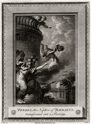 Perdix, Daidalos brorson, förvandlad till en rapphöna, 1774