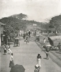 Gatubild nära rådhuset, Colombo, Ceylon, 1895.