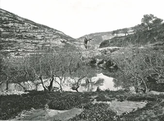 The Pool of Siloam, Jerusalem, Palestina, 1895.