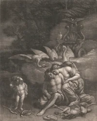Adonis dör i Venus armar