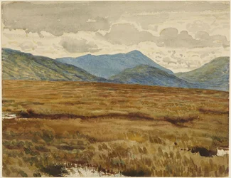 Arosheden, Isle of Mull