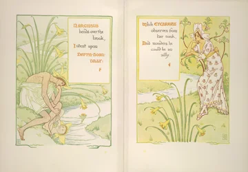 Narcissus och ögontröst
