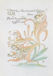"När liljor vände sig till Tiger Blaze", illustration till "Flora