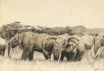 Afrikanska elefanter (bläck)