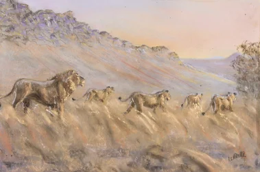 Afrikanska lejon (pastell)