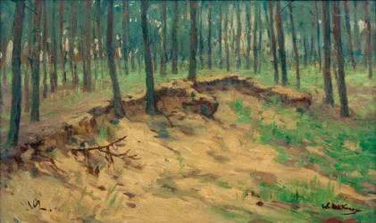 Skogsparti med sandtag