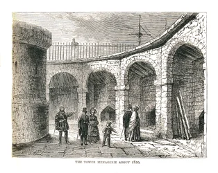 The Tower Managerie, 1878