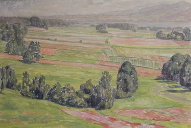 Fälten i Mattsee