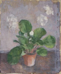 Stilleben med blomkruka