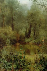 Skogsdamm