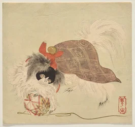 Japansk Chin-hund i en lila mantel, leker med en silkestrådboll
