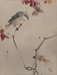 Fågel på gren tittar på spindel, ca. 1887.