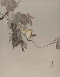 Fåglar på en gren, ca. 1887.