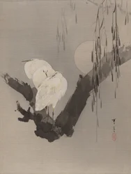 Egrets i ett träd på natten, ca. 1887.