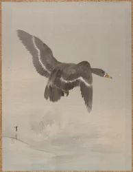 Flygande gås, ca. 1887.