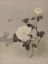 Rosor, ungfågel och en fjäril, ca. 1887.