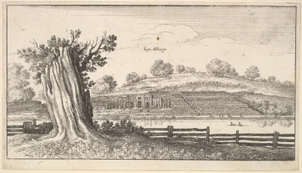 Albury med trädstubb i förgrunden, 1625-77.