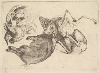 Galt, rådjur, häger och annat vilt, 1625-77.