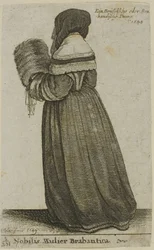 Brabantsk adelsdam