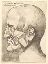 Ecorche chef för en man i profil till vänster, 1660.