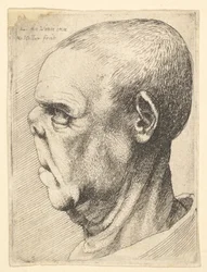 Grotesk gammal man med tillplattad näsa i vänsterprofil, 1625-77
